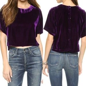 Line & Dot M Velvet Angela Chase Crop Top Purple